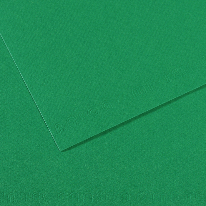 MI-TEINTES 575 VIRIDIAN 19X25