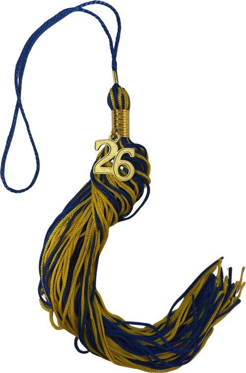 LWTECH SOUVENIR TASSEL