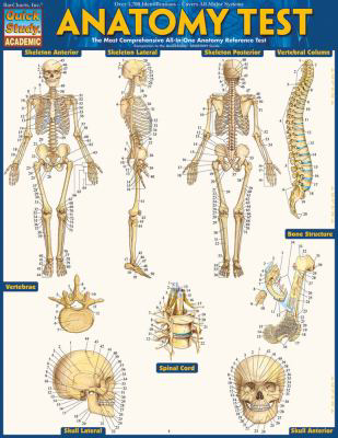 ANATOMY TEST UPDATED